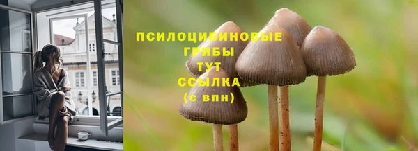 Альфа ПВП Верхний Тагил